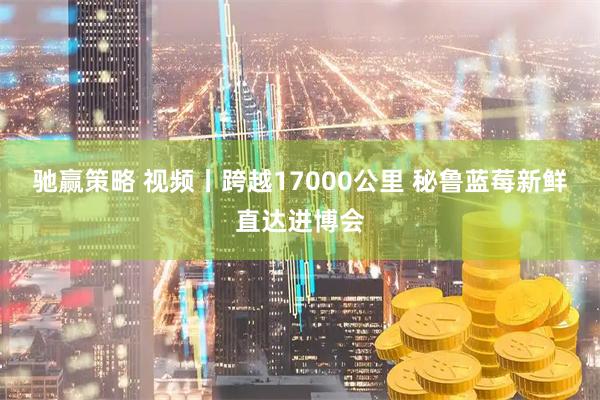 驰赢策略 视频丨跨越17000公里 秘鲁蓝莓新鲜直达进博会