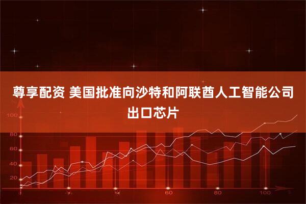 尊享配资 美国批准向沙特和阿联酋人工智能公司出口芯片