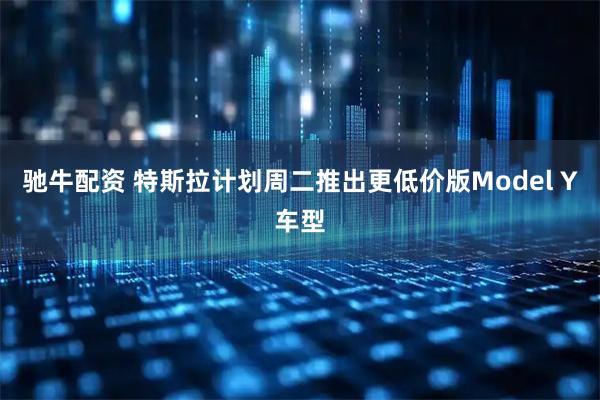 驰牛配资 特斯拉计划周二推出更低价版Model Y车型