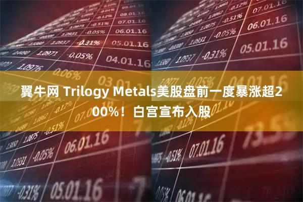 翼牛网 Trilogy Metals美股盘前一度暴涨超200%！白宫宣布入股
