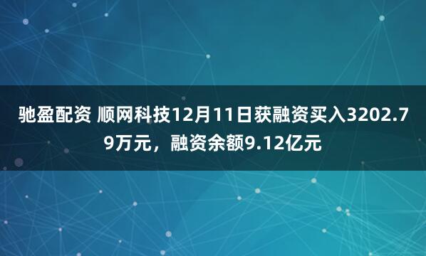 驰盈配资 顺网科技12月11日获融资买入3202.79万元，融资余额9.12亿元