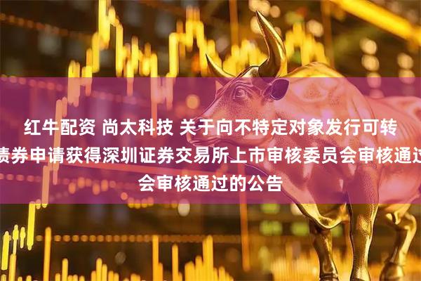 红牛配资 尚太科技 关于向不特定对象发行可转换公司债券申请获得深圳证券交易所上市审核委员会审核通过的公告