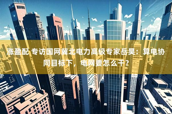 涨盈配 专访国网冀北电力高级专家岳昊：算电协同目标下，电网要怎么干？